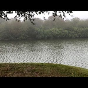 Meet your Posher, Steve